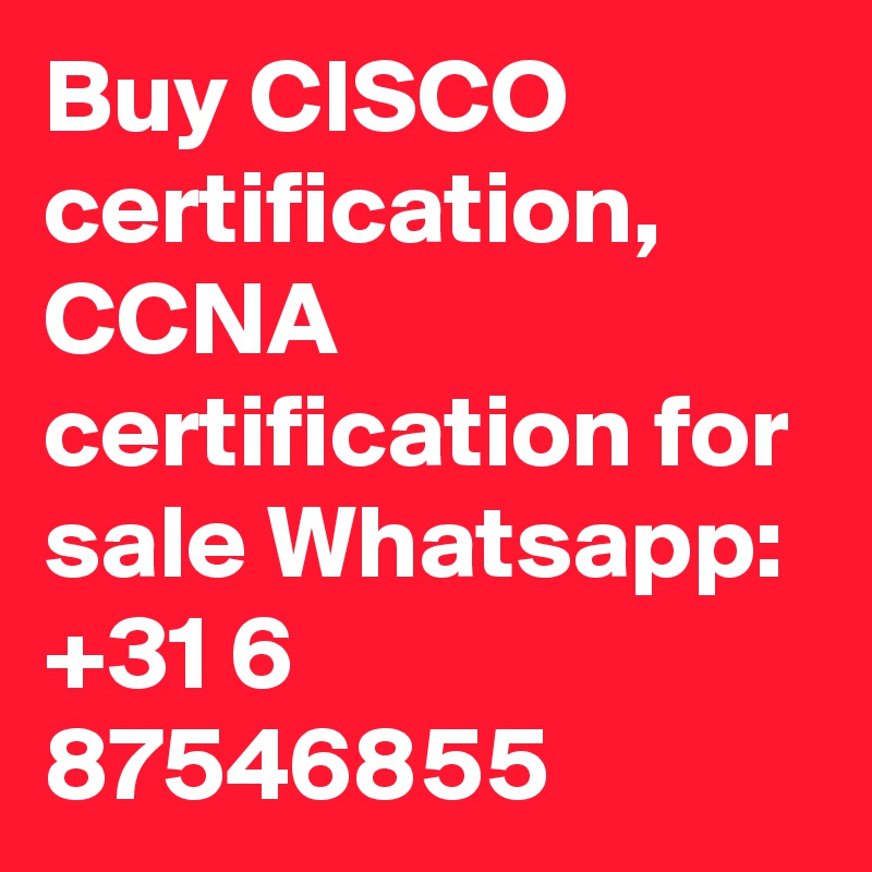 Buy CISCO certification, CCNA certification for sale Whatsapp: +31 6 87546855