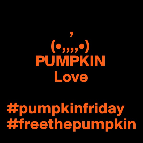 
                    ,
              (•,,,,•)
         PUMPKIN
               Love

#pumpkinfriday
#freethepumpkin