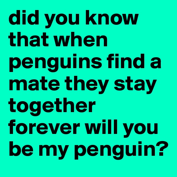 did you know that when penguins find a mate they stay together forever will you be my penguin?