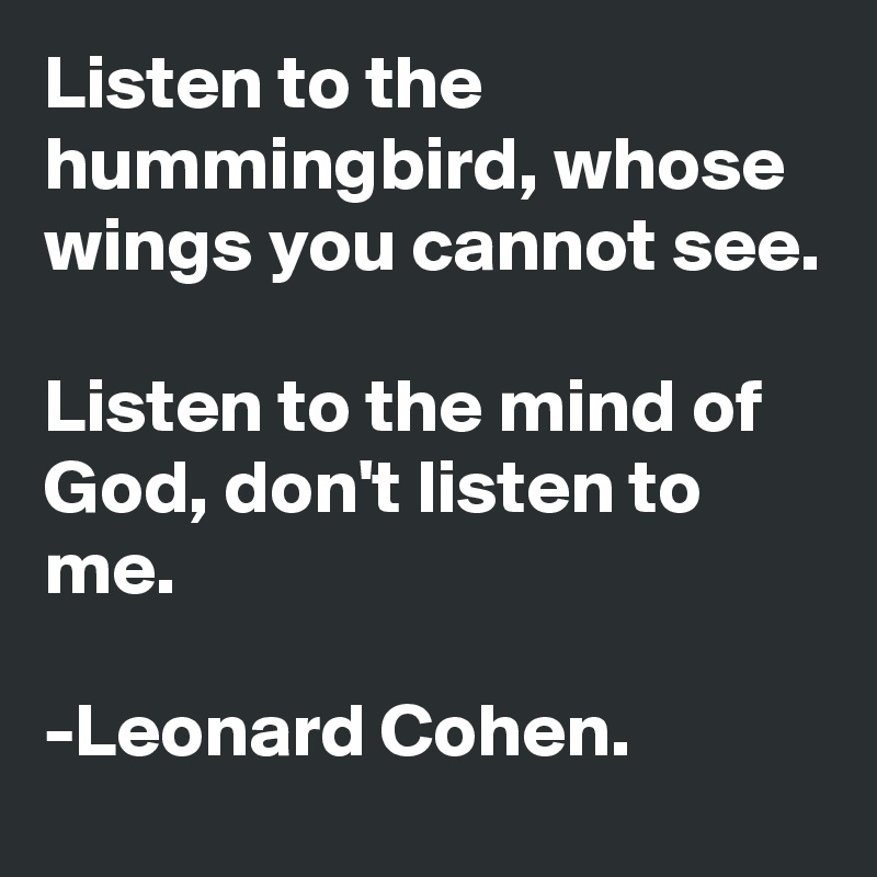 Listen to the hummingbird, whose wings you cannot see.

Listen to the mind of God, don't listen to me.

-Leonard Cohen. 