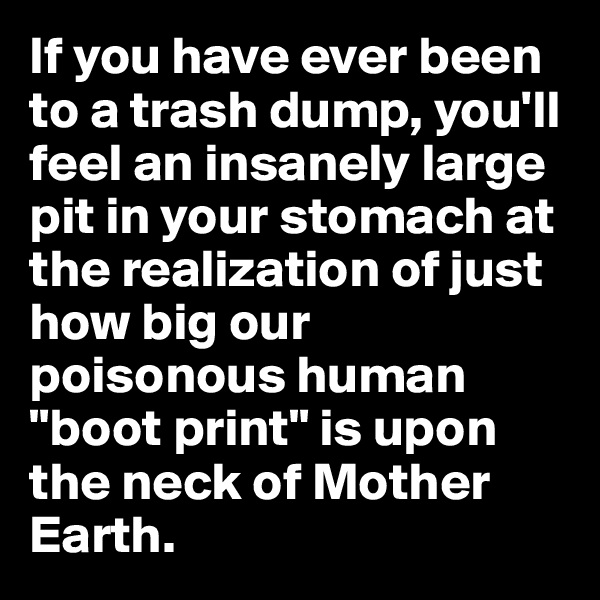If you have ever been to a trash dump, you'll feel an insanely large pit in your stomach at the realization of just how big our poisonous human "boot print" is upon the neck of Mother Earth. 