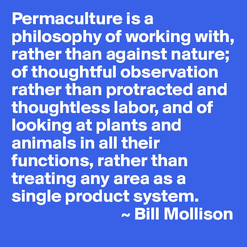 Permaculture is a philosophy of working with, rather than against nature; of thoughtful observation rather than protracted and thoughtless labor, and of looking at plants and animals in all their functions, rather than treating any area as a single product system.
                               ~ Bill Mollison