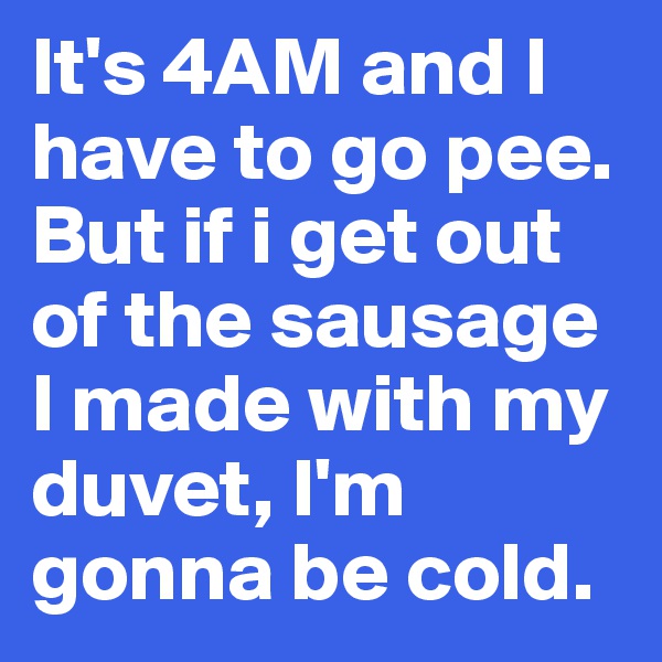 It's 4AM and I have to go pee. But if i get out of the sausage I made with my duvet, I'm gonna be cold. 