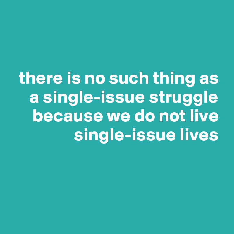 


 there is no such thing as
 a single-issue struggle because we do not live
 single-issue lives


