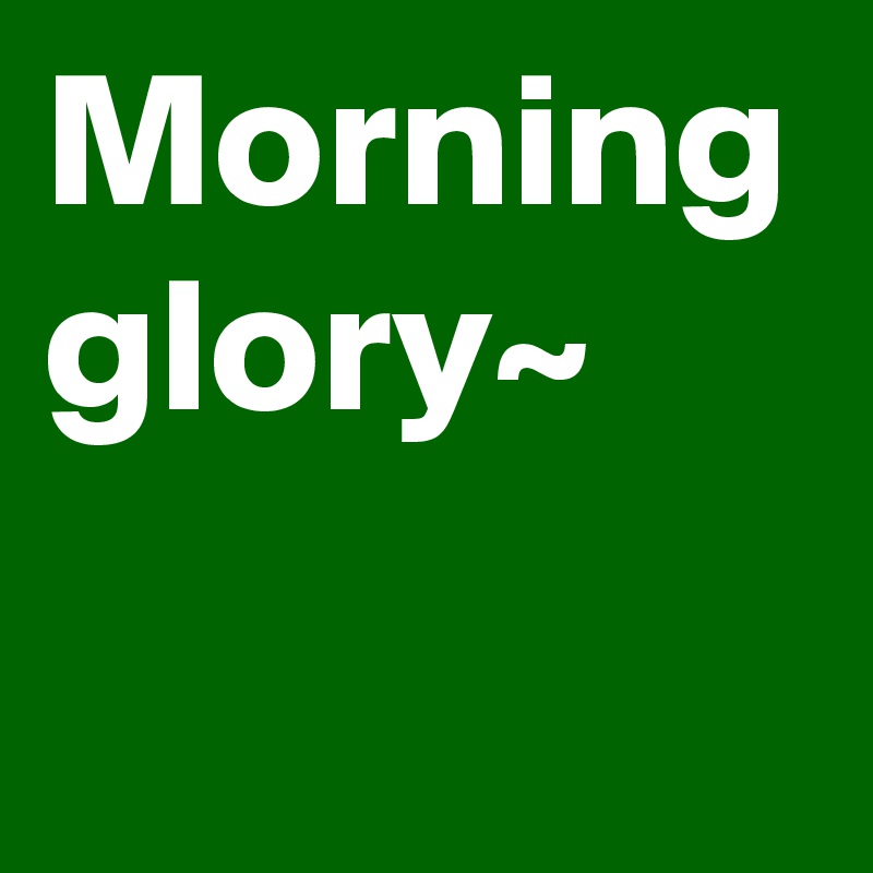 Morning glory~ - Post by DSOTD on Boldomatic