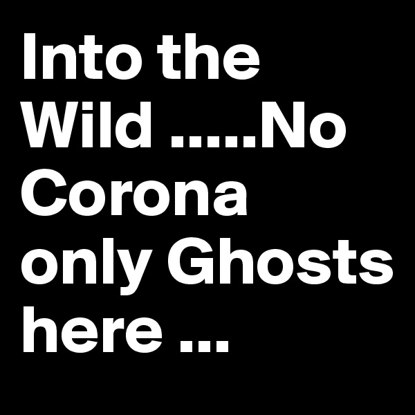 Into the Wild .....No Corona only Ghosts here ...