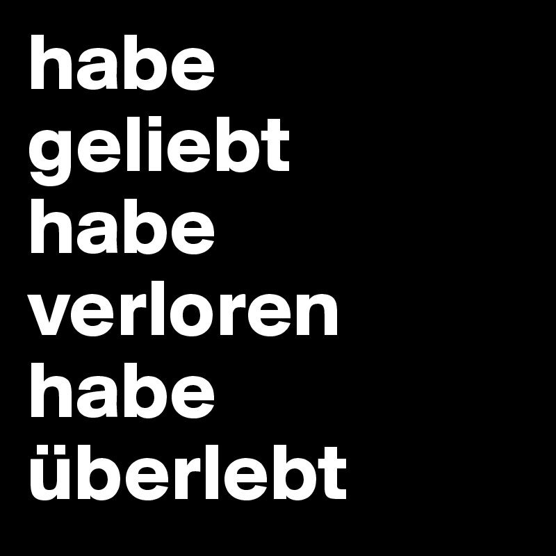 habe   geliebt   habe verloren habe überlebt 