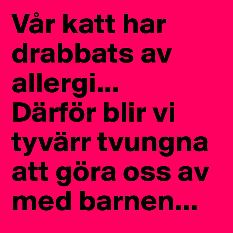Vår katt har drabbats av allergi... 
Därför blir vi tyvärr tvungna att göra oss av med barnen...