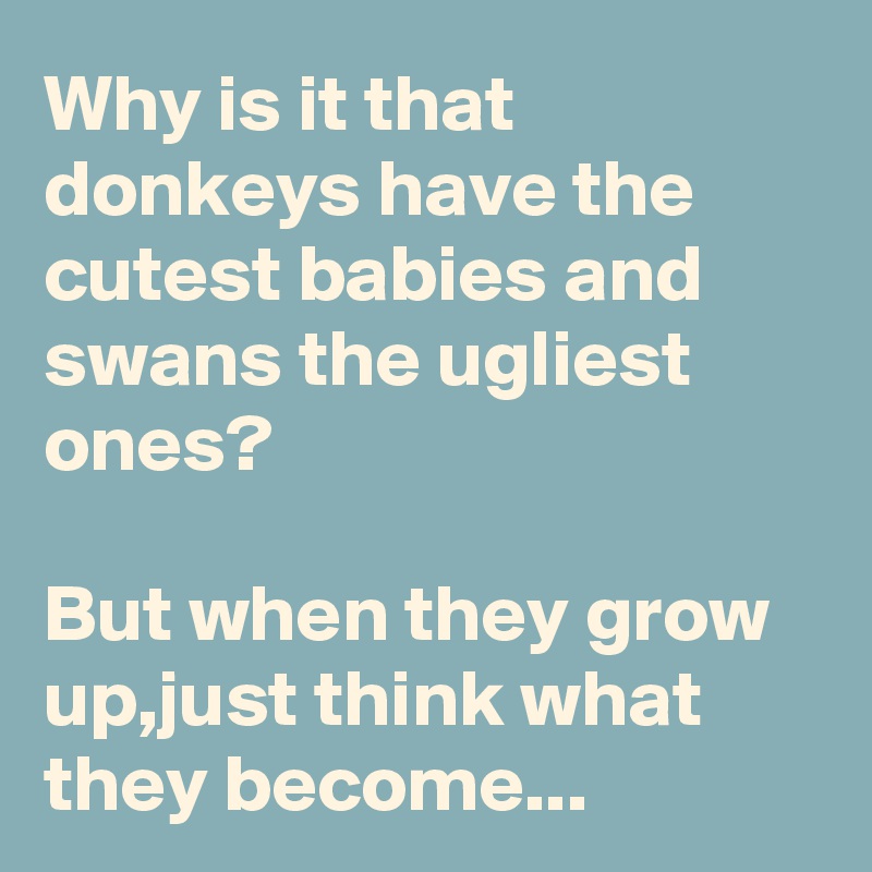 Why is it that donkeys have the cutest babies and swans the ugliest ones?

But when they grow up,just think what they become...
