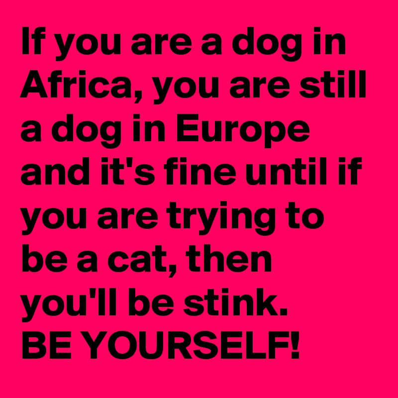 If you are a dog in Africa, you are still a dog in Europe and it's fine until if you are trying to be a cat, then you'll be stink.
BE YOURSELF!
