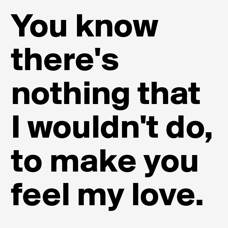 You know there's nothing that I wouldn't do, to make you feel my love.