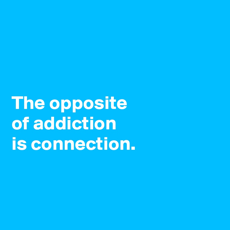 The Opposite Of Addiction Is Connection