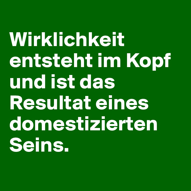 
Wirklichkeit entsteht im Kopf und ist das Resultat eines domestizierten Seins.
