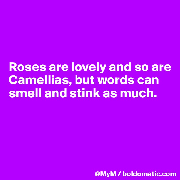 



Roses are lovely and so are Camellias, but words can smell and stink as much.





