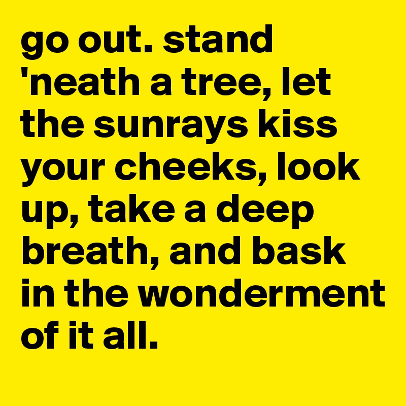 go out. stand 'neath a tree, let the sunrays kiss your cheeks, look up, take a deep breath, and bask in the wonderment of it all. 