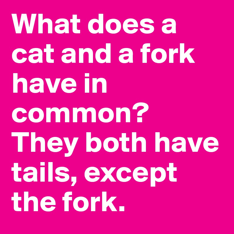 What does a cat and a fork have in common?
They both have tails, except the fork. 