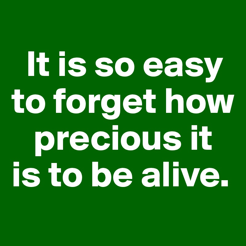 
  It is so easy 
to forget how 
   precious it is to be alive.