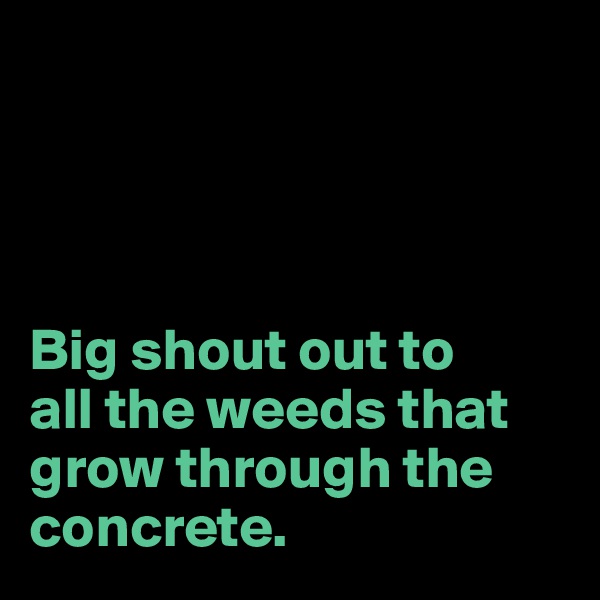 

   
     
       
Big shout out to 
all the weeds that grow through the concrete.