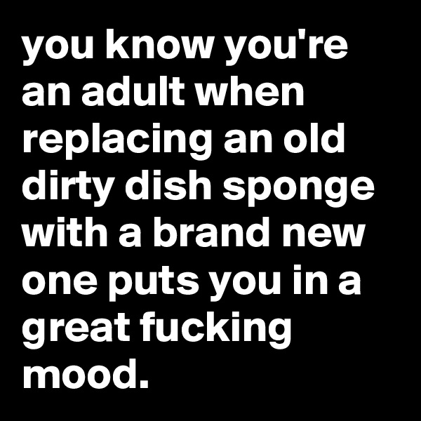 you know you're an adult when replacing an old dirty dish sponge with a brand new one puts you in a great fucking mood.