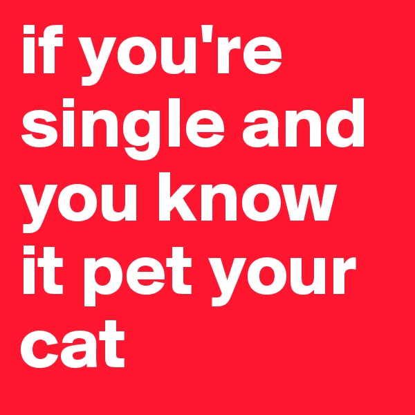 if you're single and you know it pet your cat