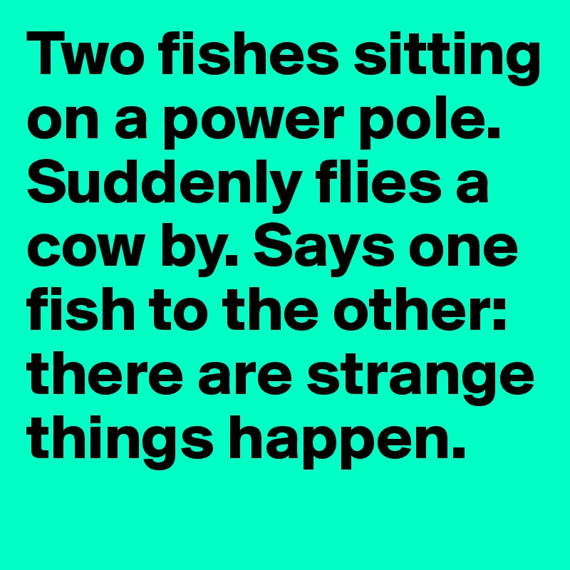 Two fishes sitting on a power pole. Suddenly flies a cow by. Says one fish to the other: there are strange things happen.