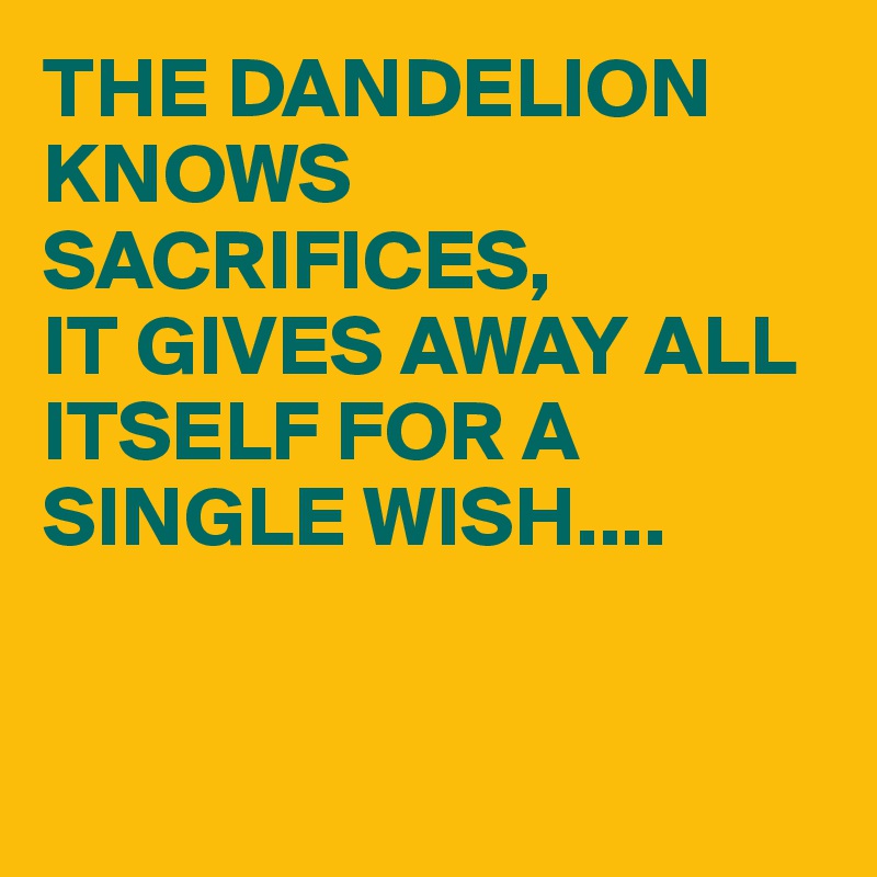 THE DANDELION KNOWS SACRIFICES, 
IT GIVES AWAY ALL ITSELF FOR A SINGLE WISH....


