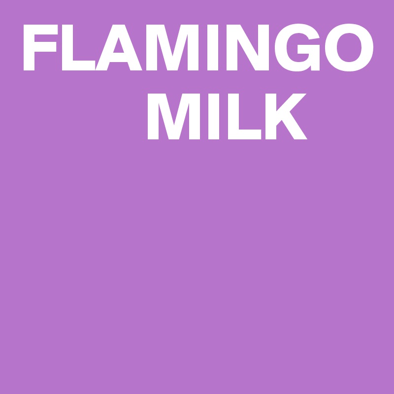 FLAMINGO 
         MILK


