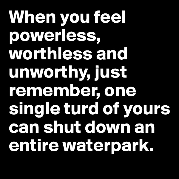 When you feel powerless, worthless and unworthy, just remember, one single turd of yours can shut down an entire waterpark. 