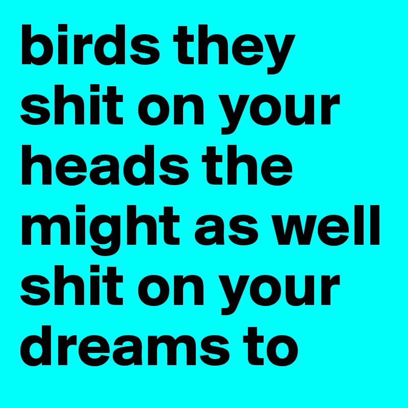 birds they shit on your heads the might as well shit on your dreams to