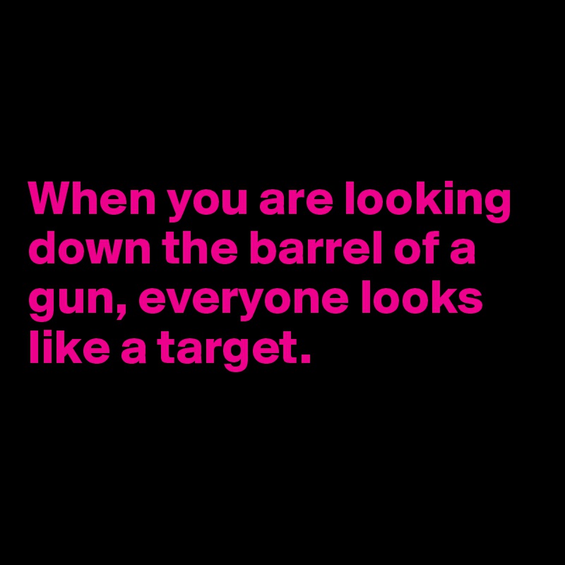 


When you are looking down the barrel of a gun, everyone looks like a target.


