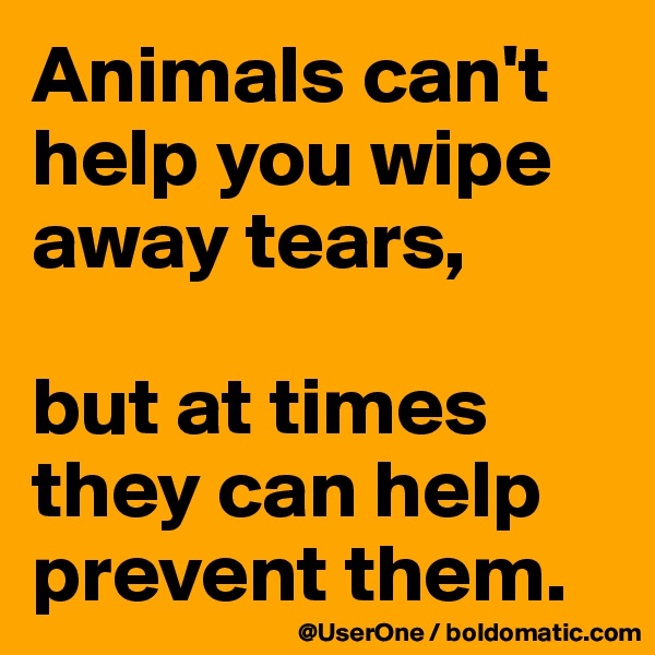 Animals can't help you wipe away tears,

but at times they can help prevent them.