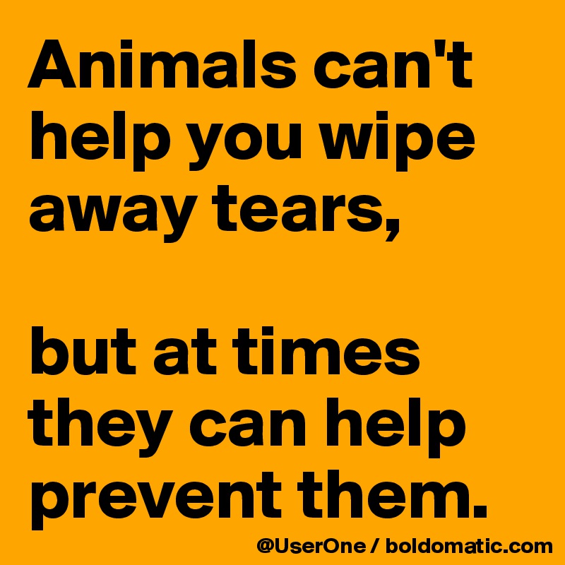 Animals can't help you wipe away tears,

but at times they can help prevent them.