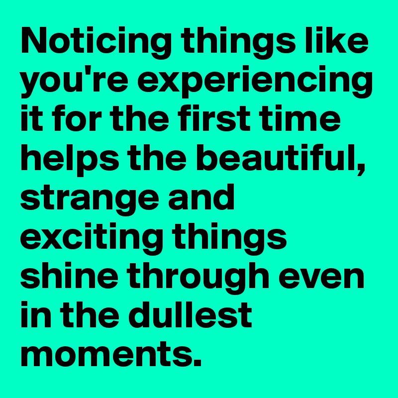 Noticing things like you're experiencing it for the first time helps the beautiful, strange and exciting things shine through even in the dullest moments. 