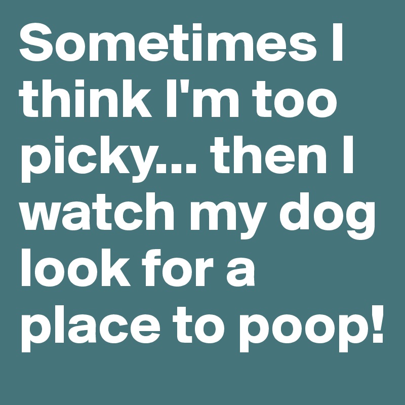 Sometimes I think I'm too picky... then I  watch my dog look for a place to poop!