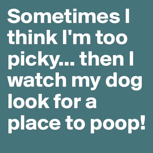 Sometimes I think I'm too picky... then I  watch my dog look for a place to poop!