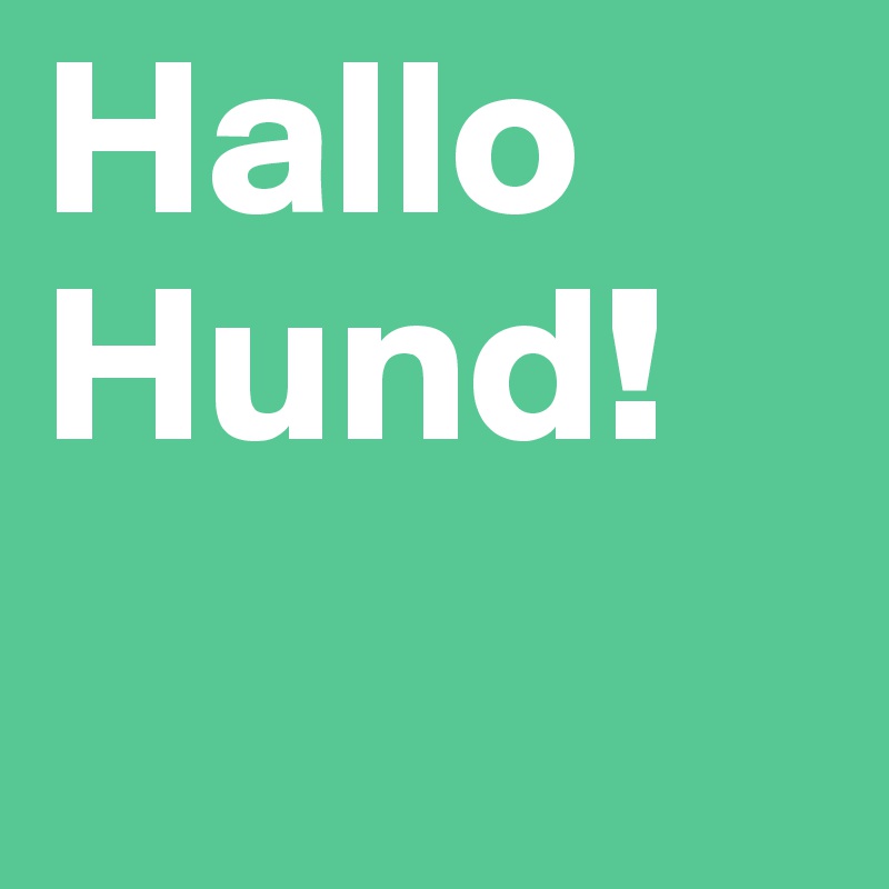 Hallo Hund!