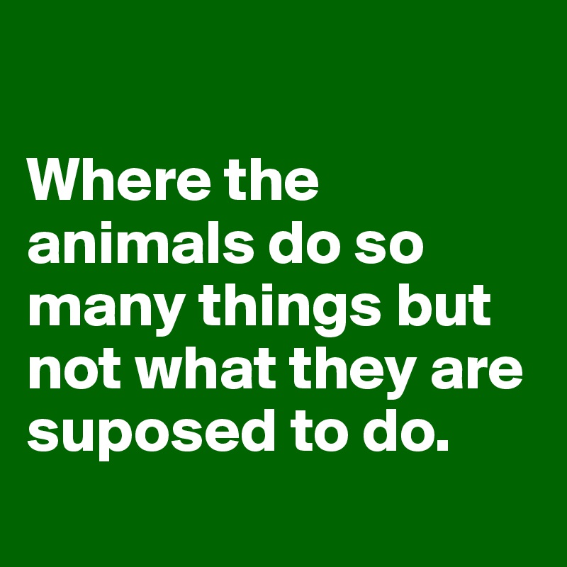 

Where the animals do so many things but not what they are suposed to do.
