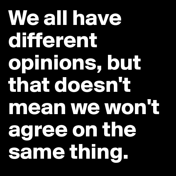 We all have different opinions, but that doesn't mean we won't agree on the same thing.