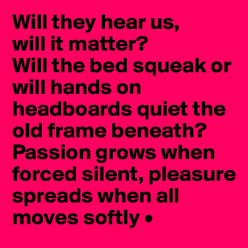 Will they hear us,
will it matter?
Will the bed squeak or will hands on headboards quiet the old frame beneath?
Passion grows when forced silent, pleasure spreads when all moves softly •