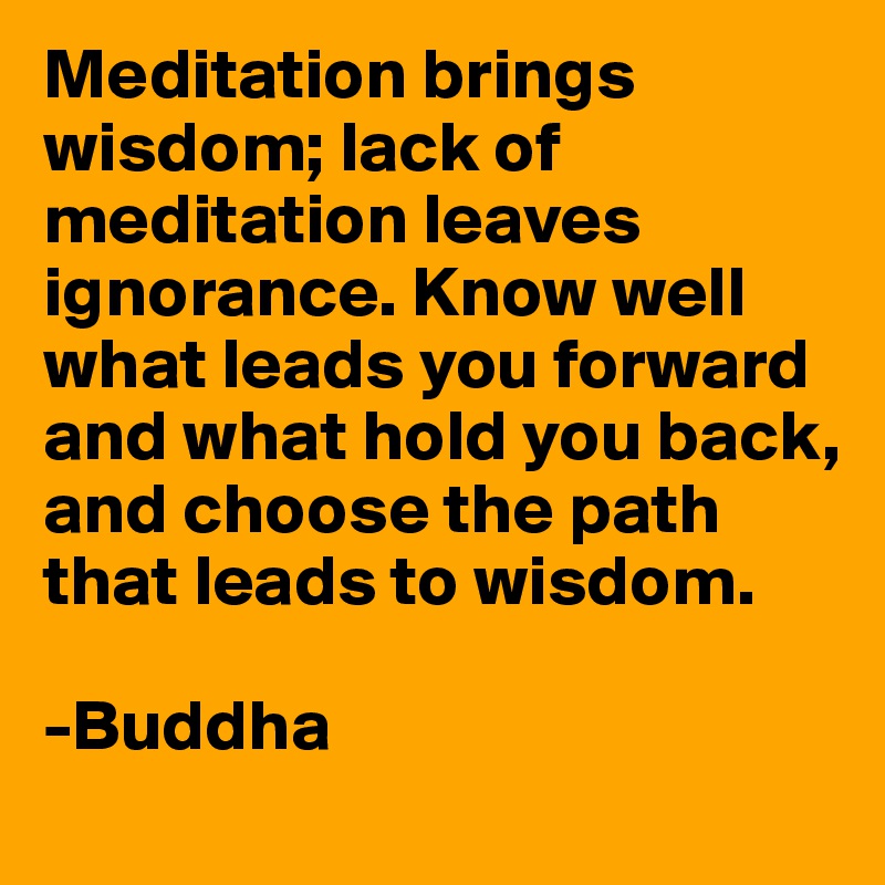 Meditation brings wisdom; lack of meditation leaves ignorance. Know well what leads you forward and what hold you back, and choose the path that leads to wisdom.

-Buddha