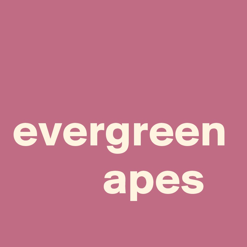 

evergreen 
          apes