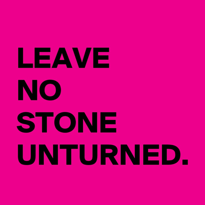 
 LEAVE
 NO
 STONE
 UNTURNED.