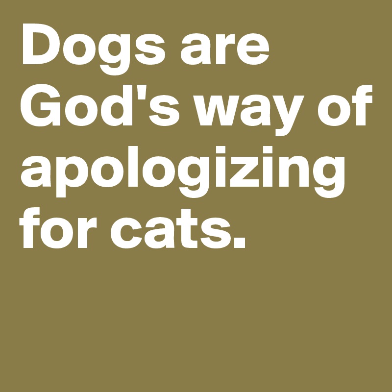 Dogs are God's way of apologizing for cats.
