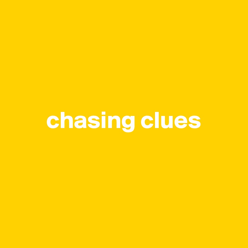 



       chasing clues



