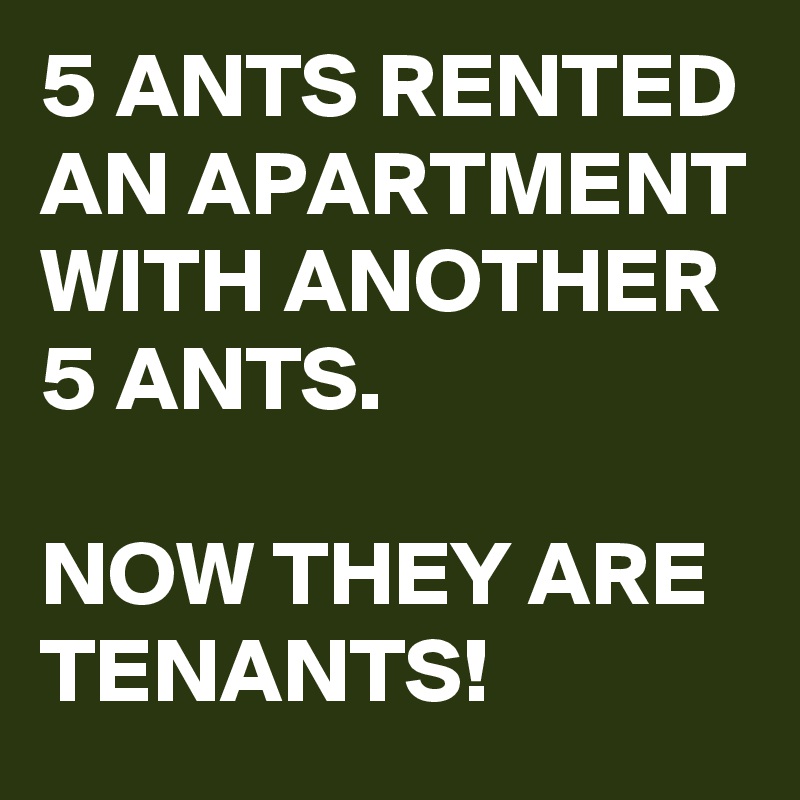 5 ANTS RENTED AN APARTMENT WITH ANOTHER 5 ANTS. 

NOW THEY ARE TENANTS!