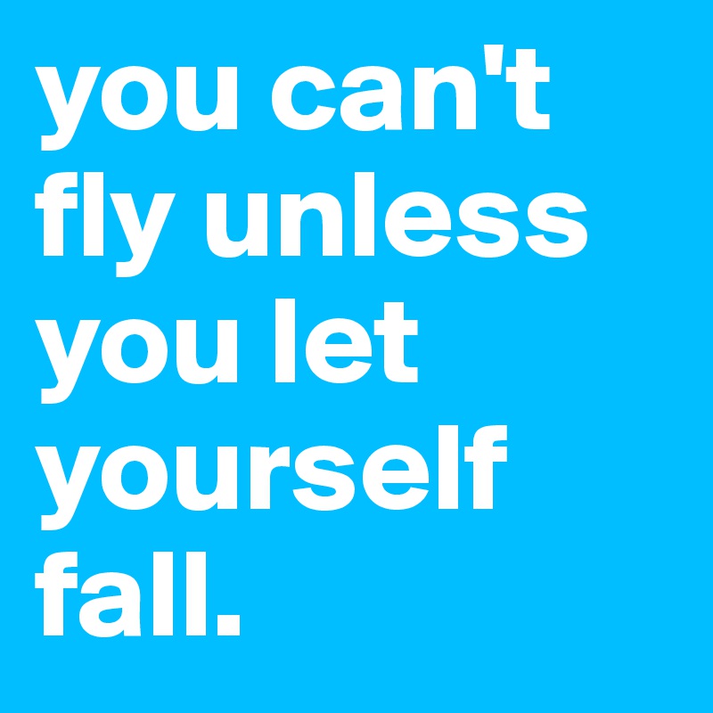 you can't fly unless you let yourself fall. 