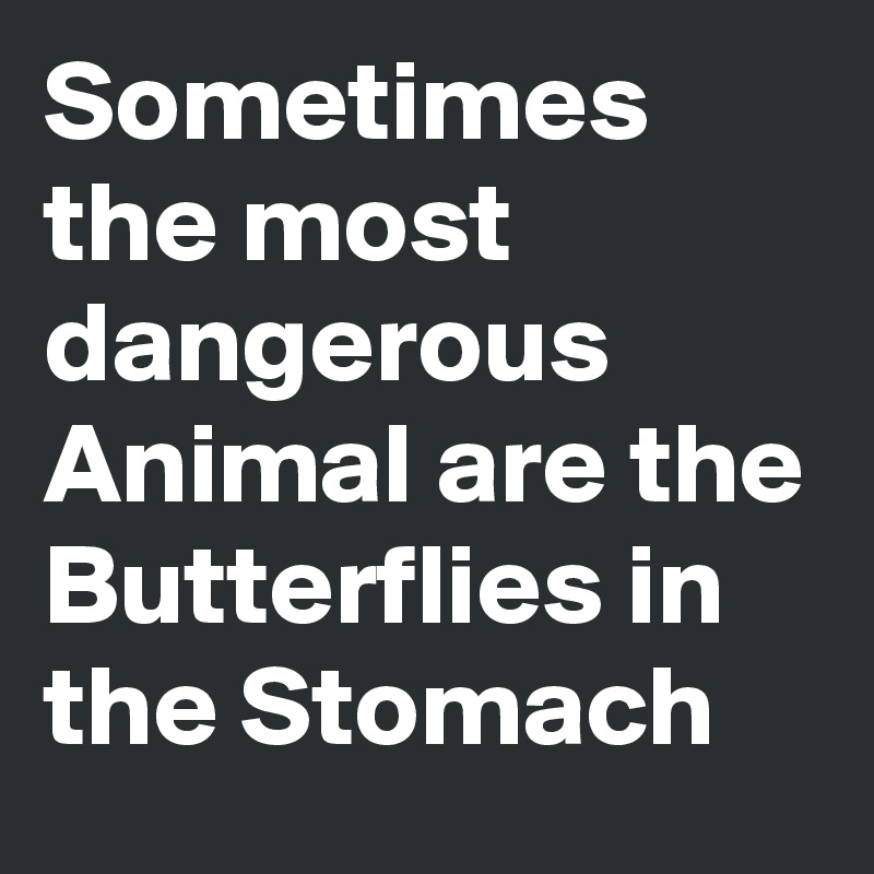 Sometimes the most dangerous Animal are the Butterflies in the Stomach