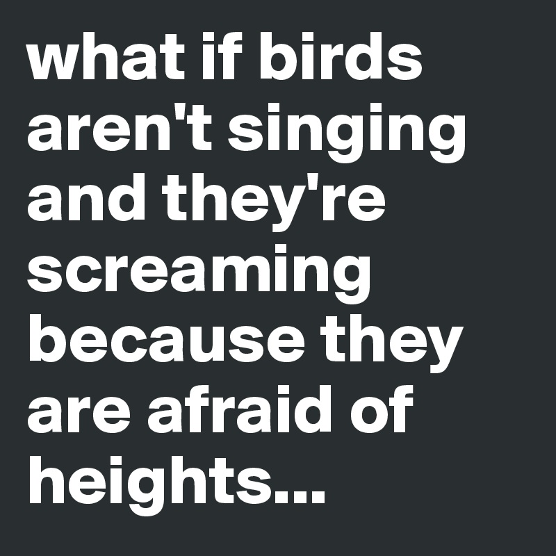 what if birds aren't singing and they're screaming because they are afraid of heights...