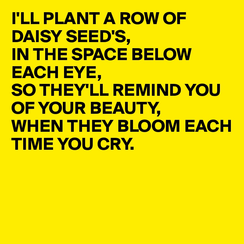 I'LL PLANT A ROW OF DAISY SEED'S,
IN THE SPACE BELOW EACH EYE,
SO THEY'LL REMIND YOU OF YOUR BEAUTY,
WHEN THEY BLOOM EACH
TIME YOU CRY.



