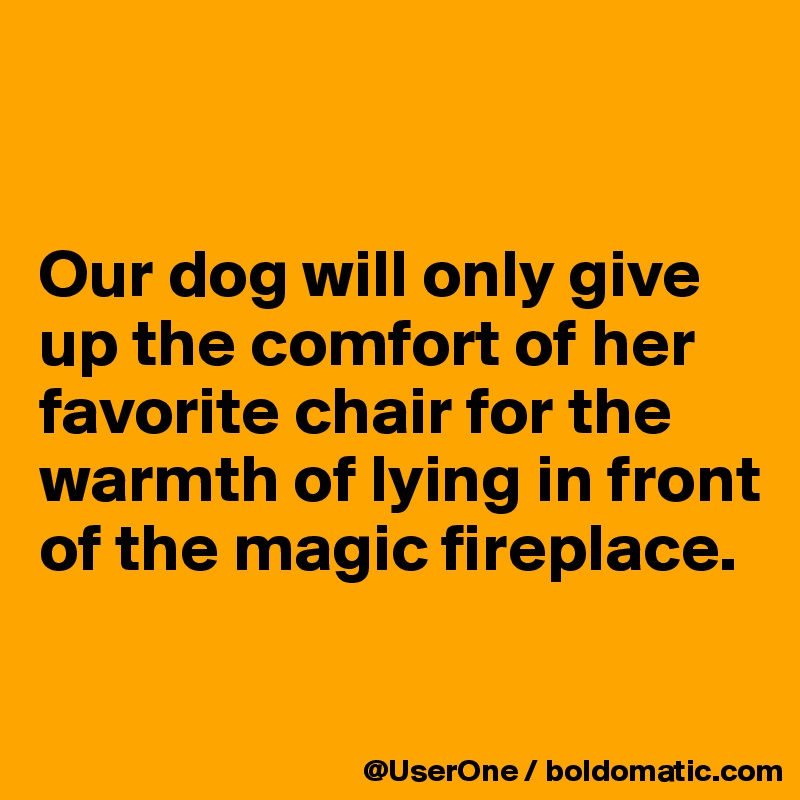 


Our dog will only give up the comfort of her favorite chair for the warmth of lying in front of the magic fireplace.

